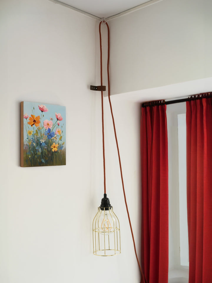 Crochets transparents Attaches Hoopzi