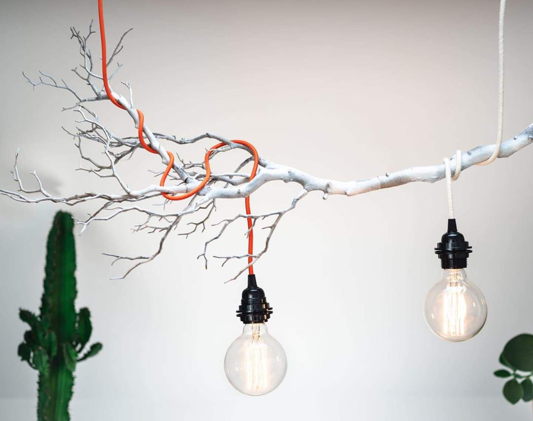 Éclairage facile : la BALA stimule votre créativité simplement