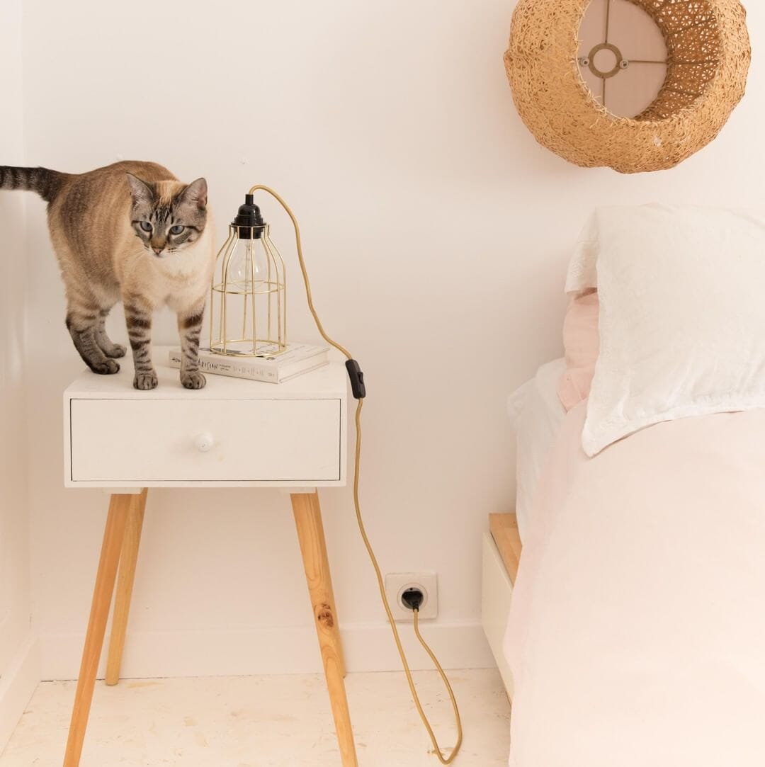 Quel éclairage est nécessaire suivant les pièces ?