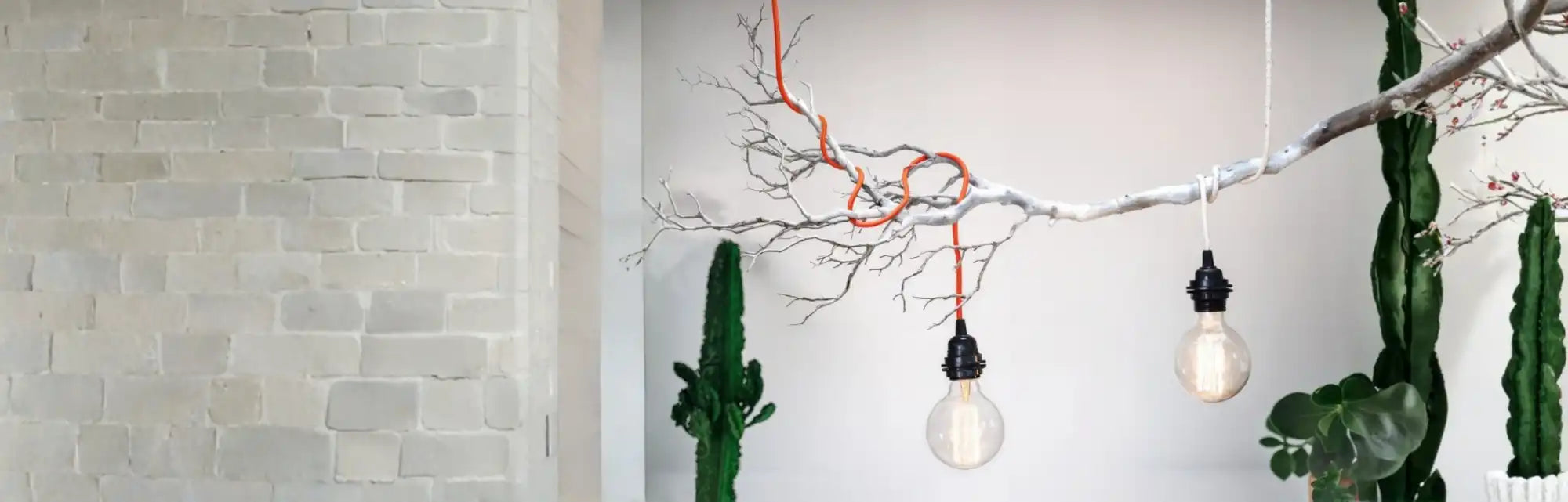 Promotions (Exclusivité internet)