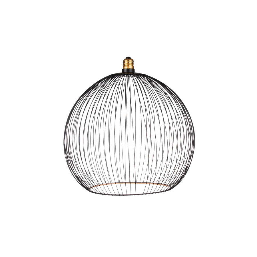 Nouveauté exclusive : Ampoule LED décorative Floating Globe Filo Ampoule LED Hoopzi 