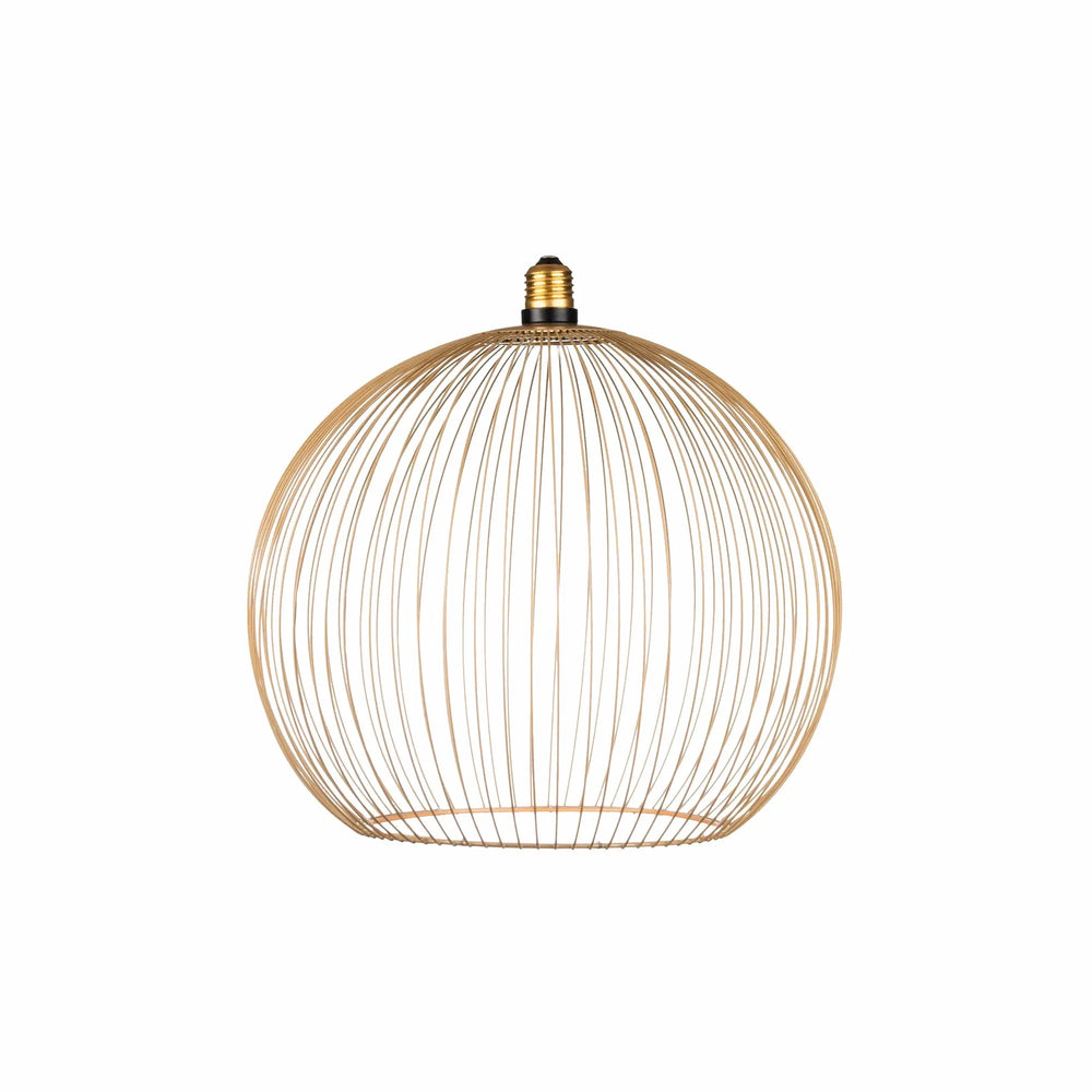 Nouveauté exclusive : Ampoule LED décorative Floating Globe Filo Ampoule LED Hoopzi 