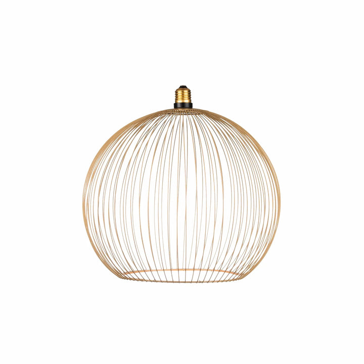 Nouveauté exclusive : Ampoule LED décorative Floating Globe Filo Ampoule LED Hoopzi 