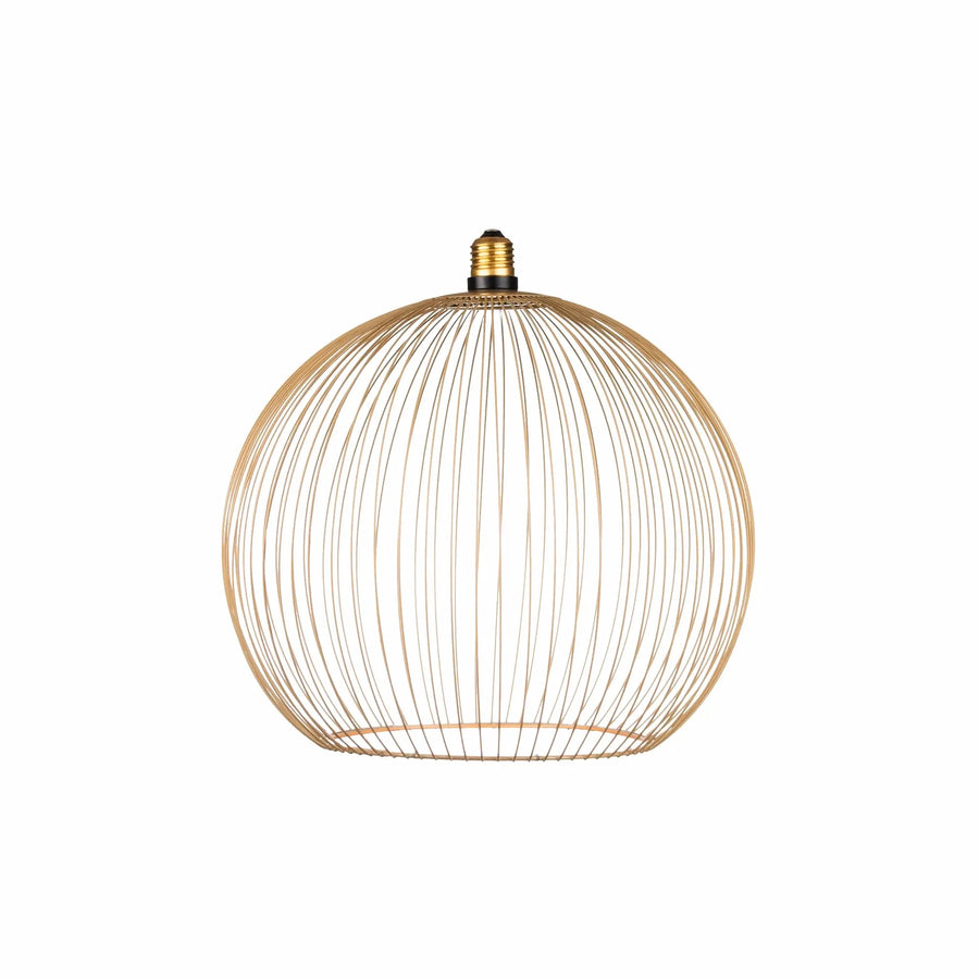 Nouveauté exclusive : Ampoule LED décorative Floating Globe Filo Ampoule LED Hoopzi 