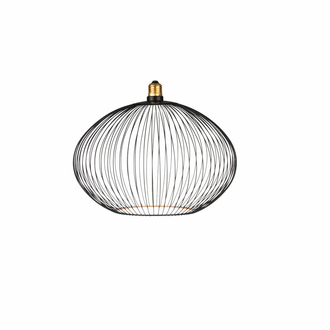 Nouveauté exclusive : Ampoule LED décorative Floating Globe Filo Ampoule LED Hoopzi 