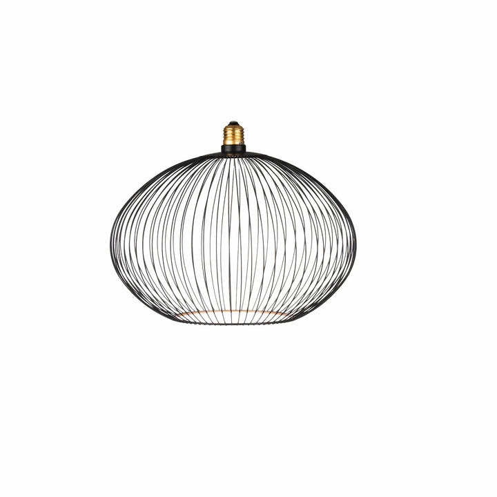 Nouveauté exclusive : Ampoule LED décorative Floating Globe Filo Ampoule LED Hoopzi 