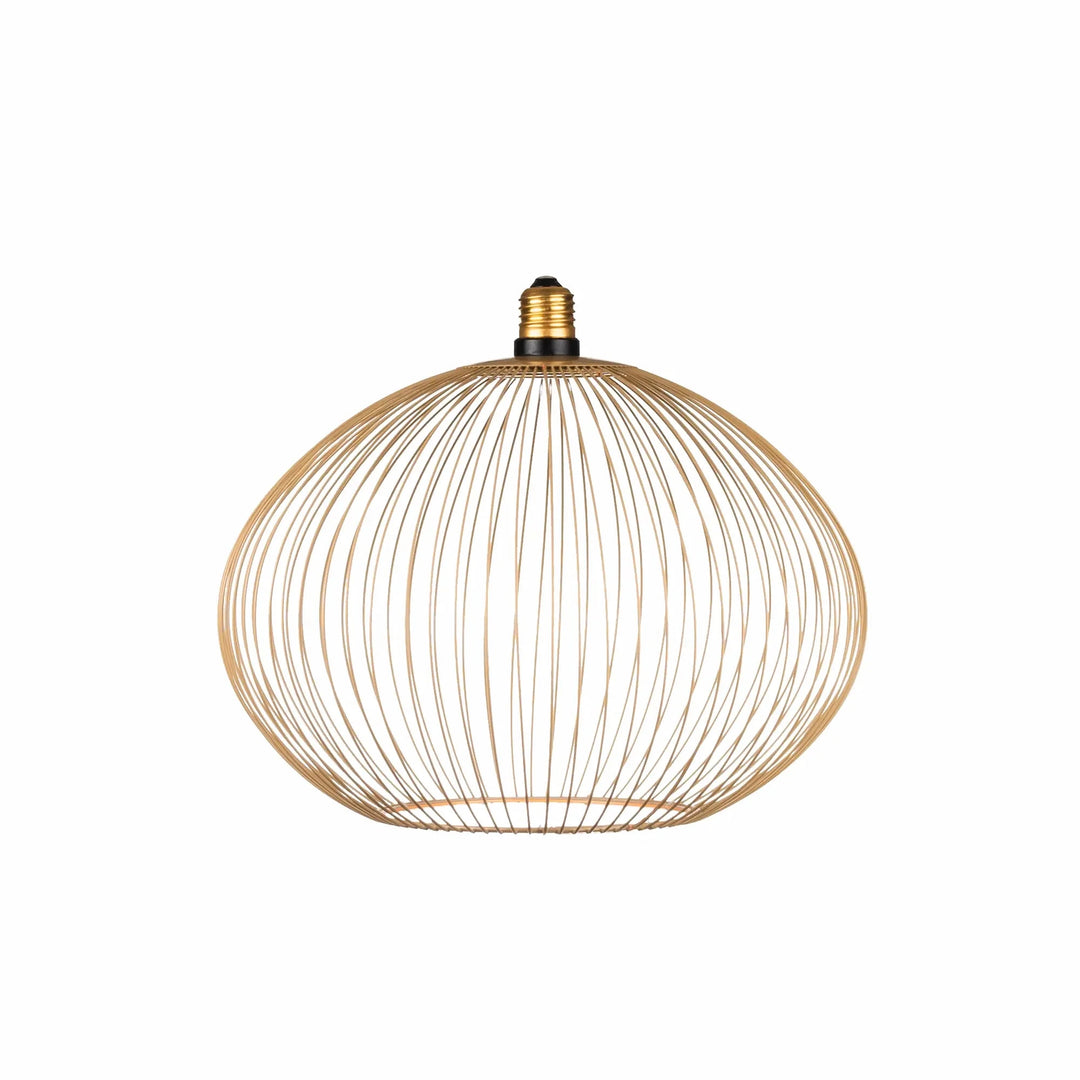 Nouveauté exclusive : Ampoule LED décorative Floating Globe Filo Ampoule LED Hoopzi 