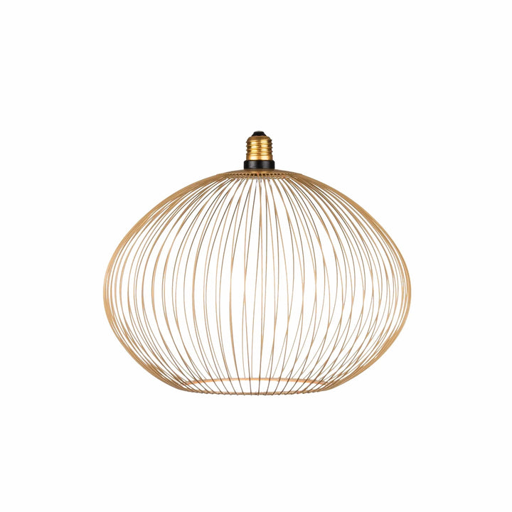Nouveauté exclusive : Ampoule LED décorative Floating Globe Filo Ampoule LED Hoopzi 