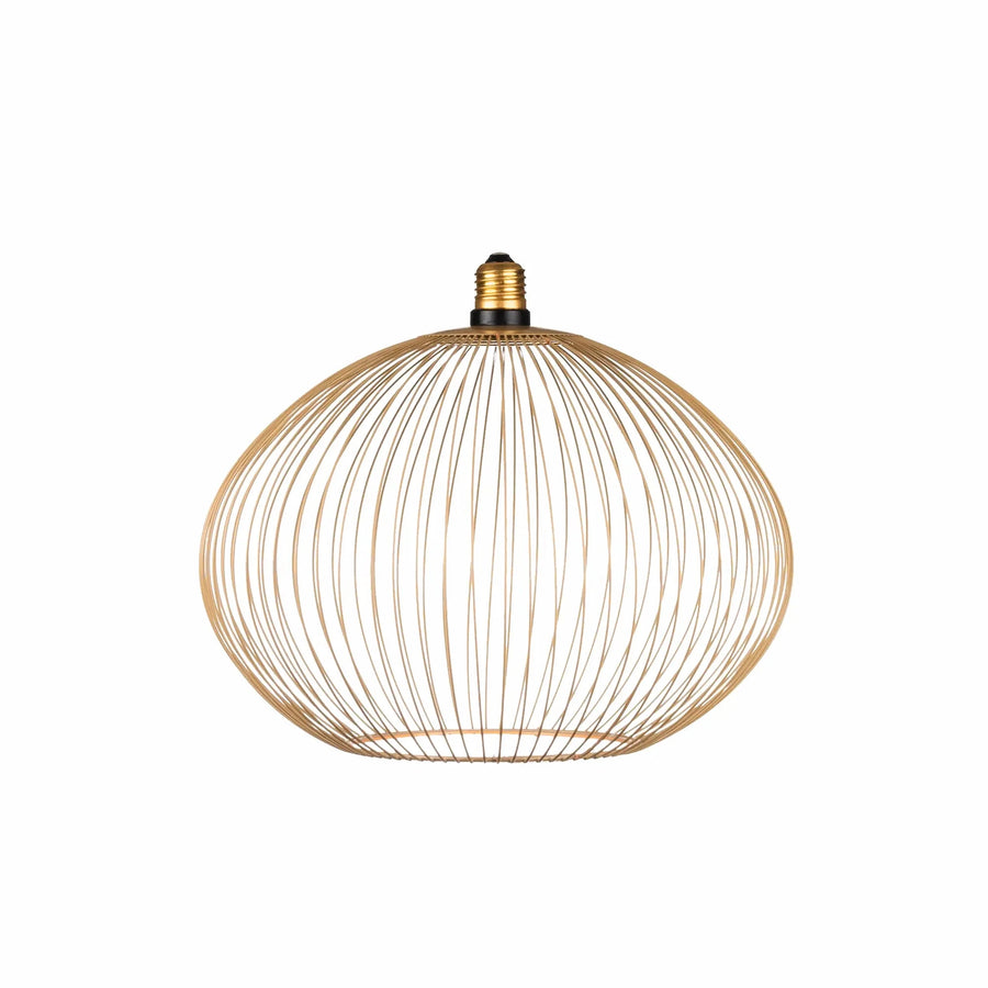 Nouveauté exclusive : Ampoule LED décorative Floating Globe Filo Ampoule LED Hoopzi 